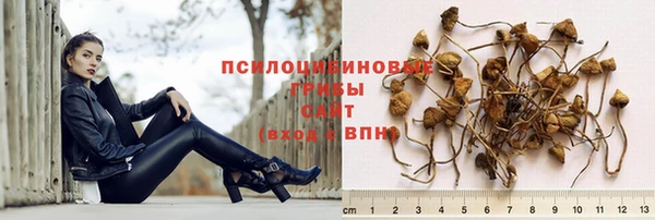 бошки Белокуриха