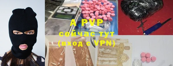 бошки Белокуриха