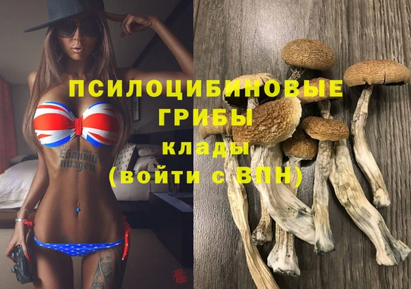 дмт Белоозёрский