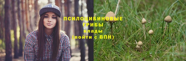 дмт Белоозёрский