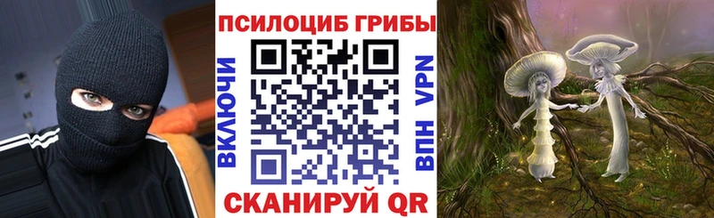 Галлюциногенные грибы MAGIC MUSHROOMS  Нестеров 